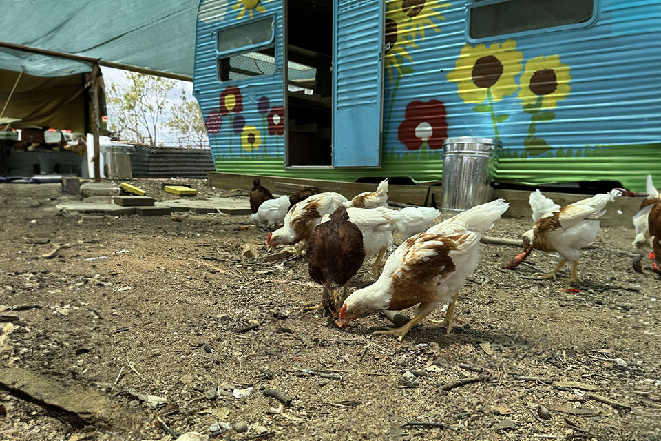 Image is not available