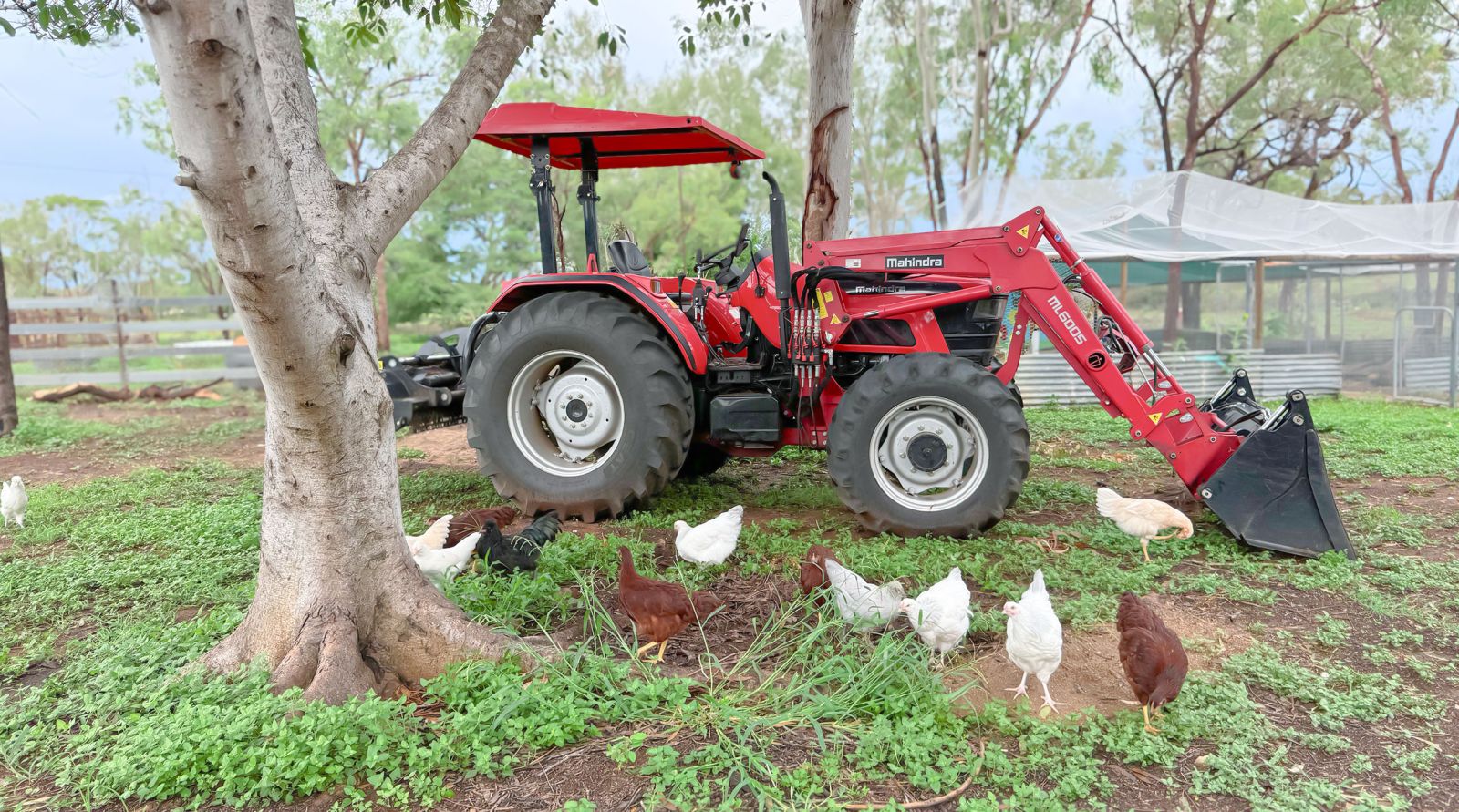 farm stays queensland