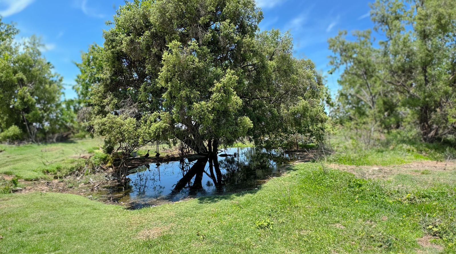 things to do charters towers